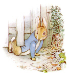 the-tale-of-peter-rabbit