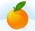 A Christmas Orange